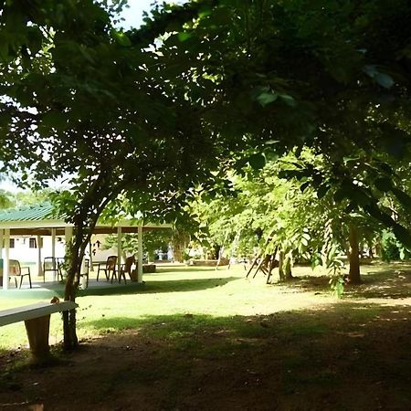 โรงแรมสาชี สามี อนุราธปุระ ภายนอก รูปภาพ