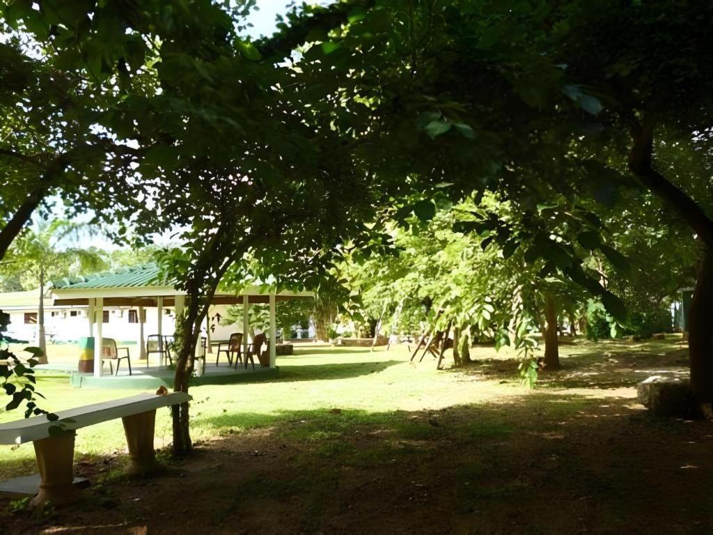 โรงแรมสาชี สามี อนุราธปุระ ภายนอก รูปภาพ