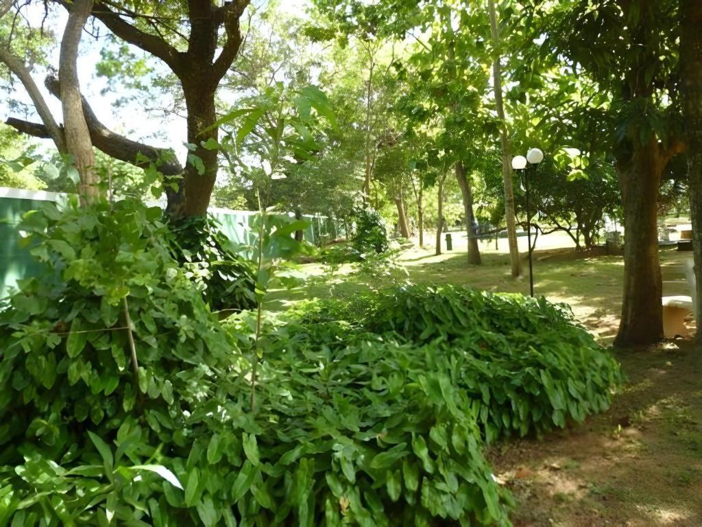โรงแรมสาชี สามี อนุราธปุระ ภายนอก รูปภาพ